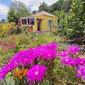 Apartamento Iraña Del Bosque, Breña Baja
